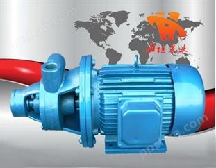 旋涡泵原理、旋涡泵技术、1W型单级旋涡泵