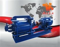 真空泵概述、真空泵厂家、2SK系列两级水环式真空泵