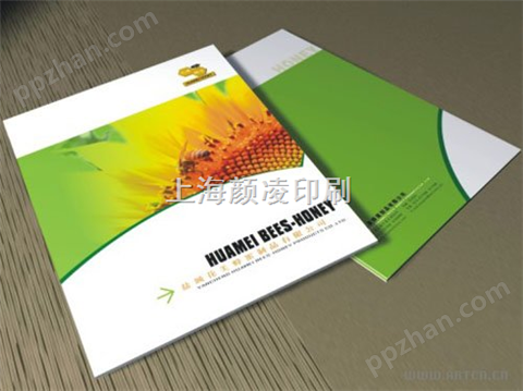 上海宣传册印刷/宣传册印刷/宣传册设计制作
