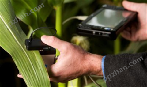 CI-710植物叶片光谱仪