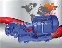 KCB/2CY型齿轮油泵,手提式电动油桶泵