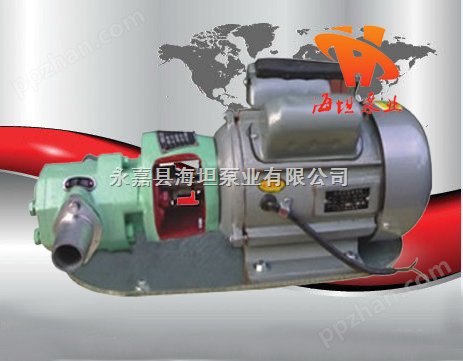 WCB型微型齿轮油泵,不锈钢齿轮泵 ,微型齿轮泵